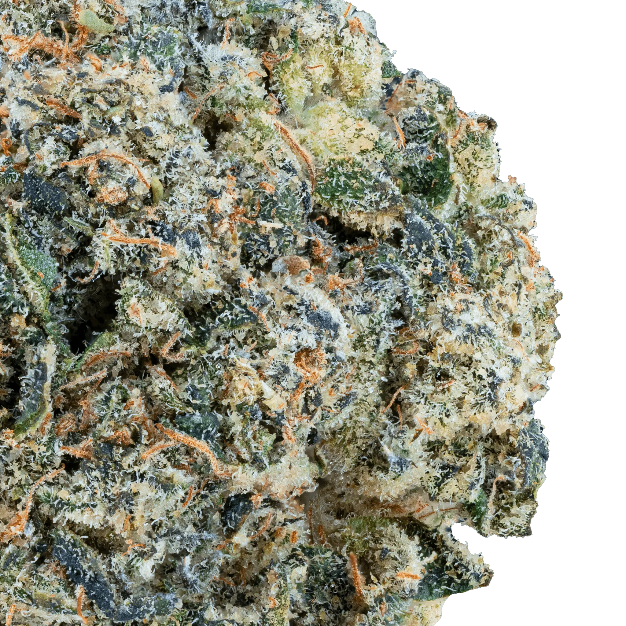 Banana Zkittles – THCa Flower - Image 2