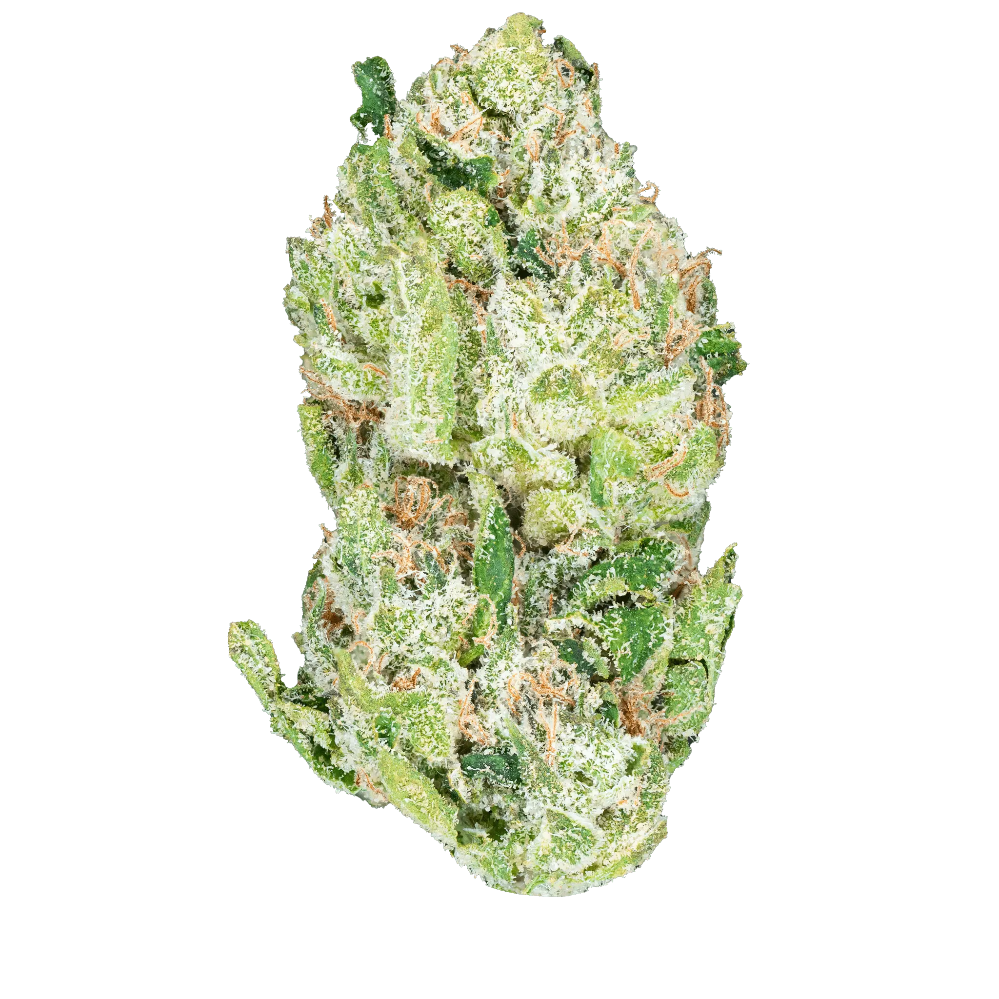 Blue Dream THCa Flower - Image 15