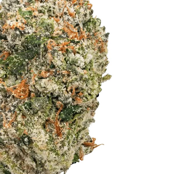 Cap Junky – THCa Flower - Image 6