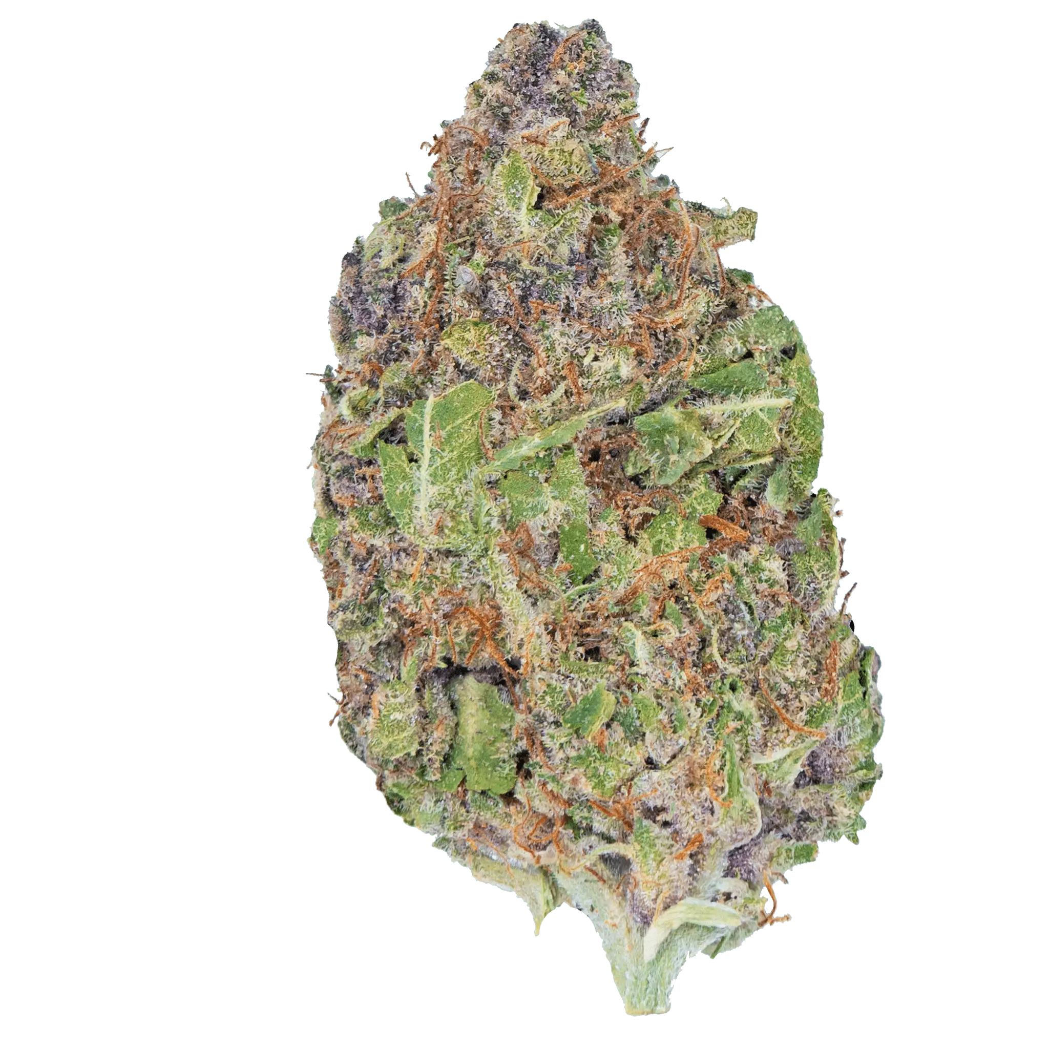 Cereal Milk THCa Flower - Image 10