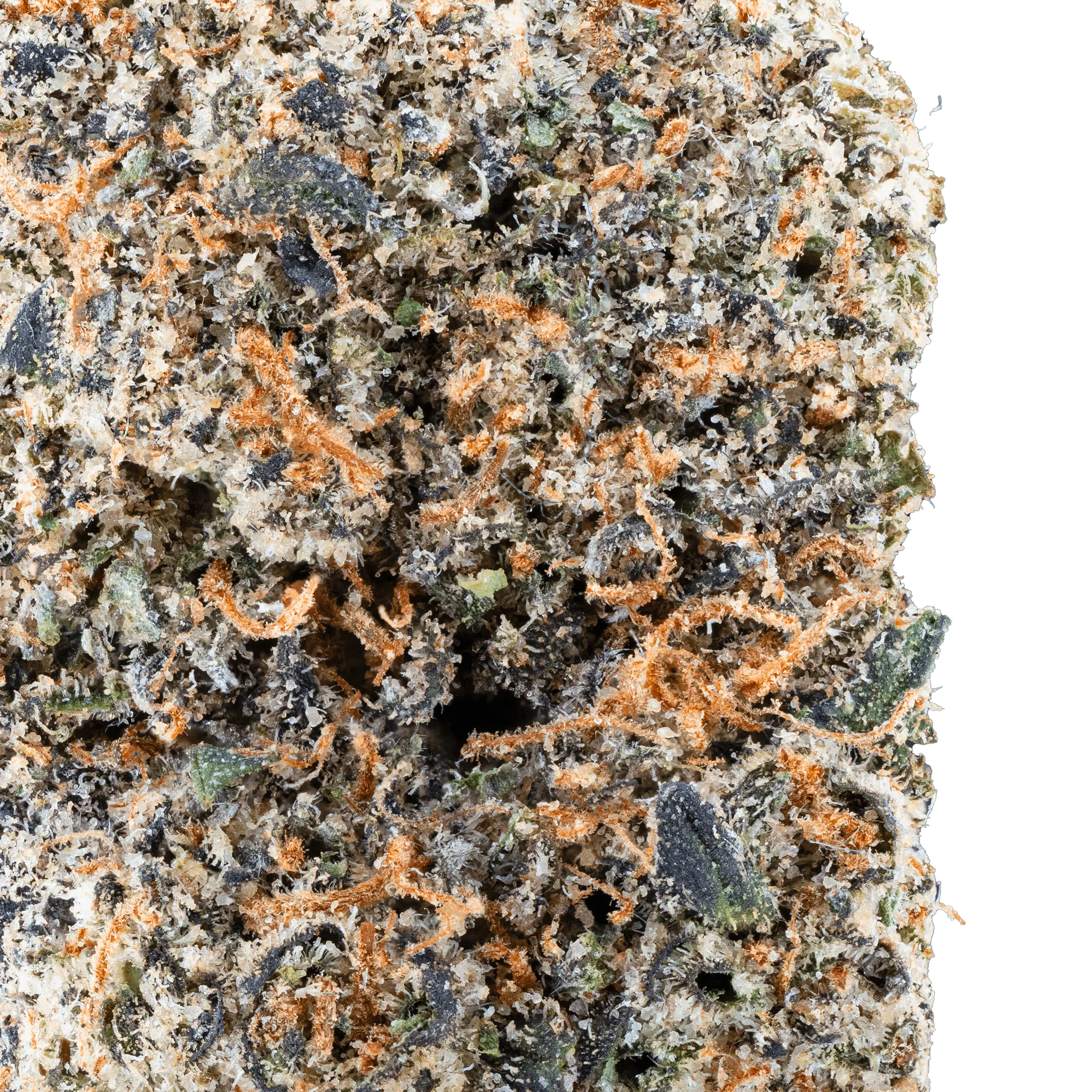 Cereal Milk THCa Flower - Image 13