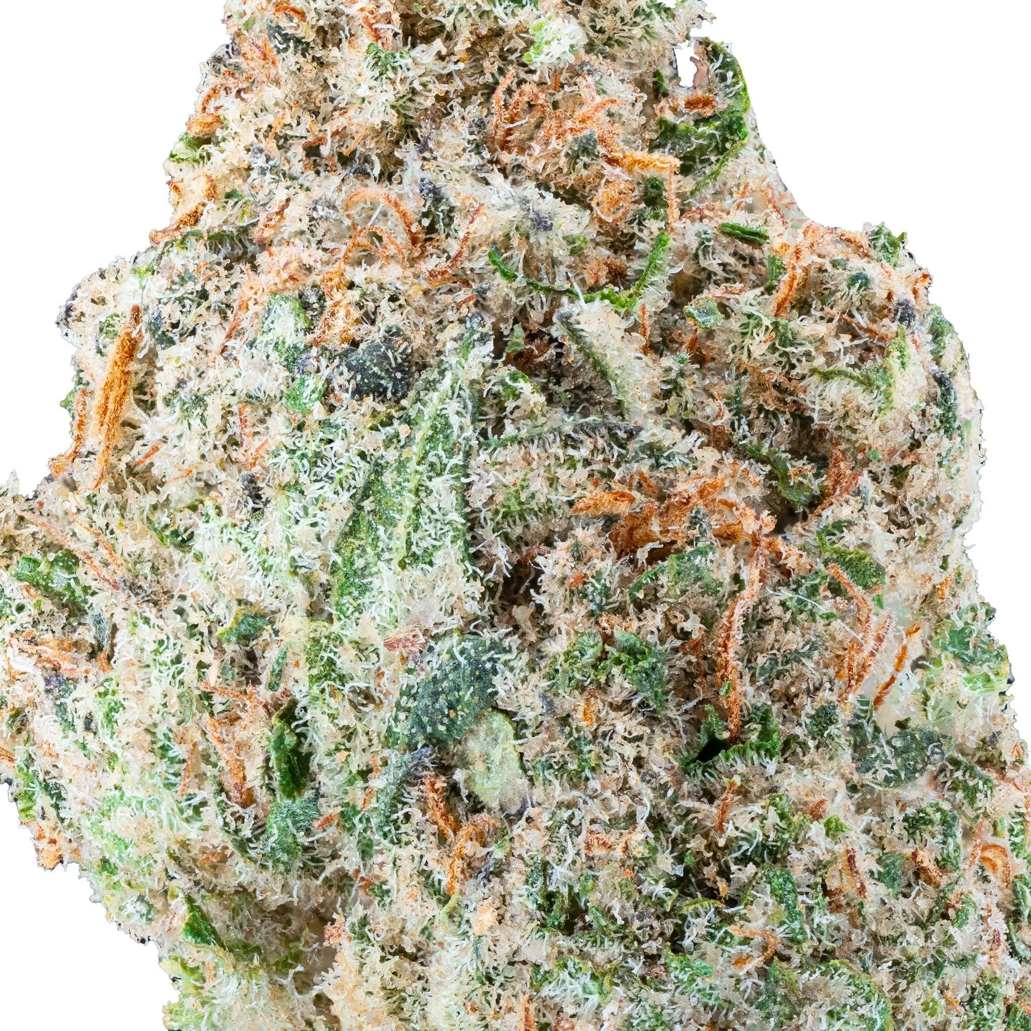 Cereal Milk THCa Flower - Image 2