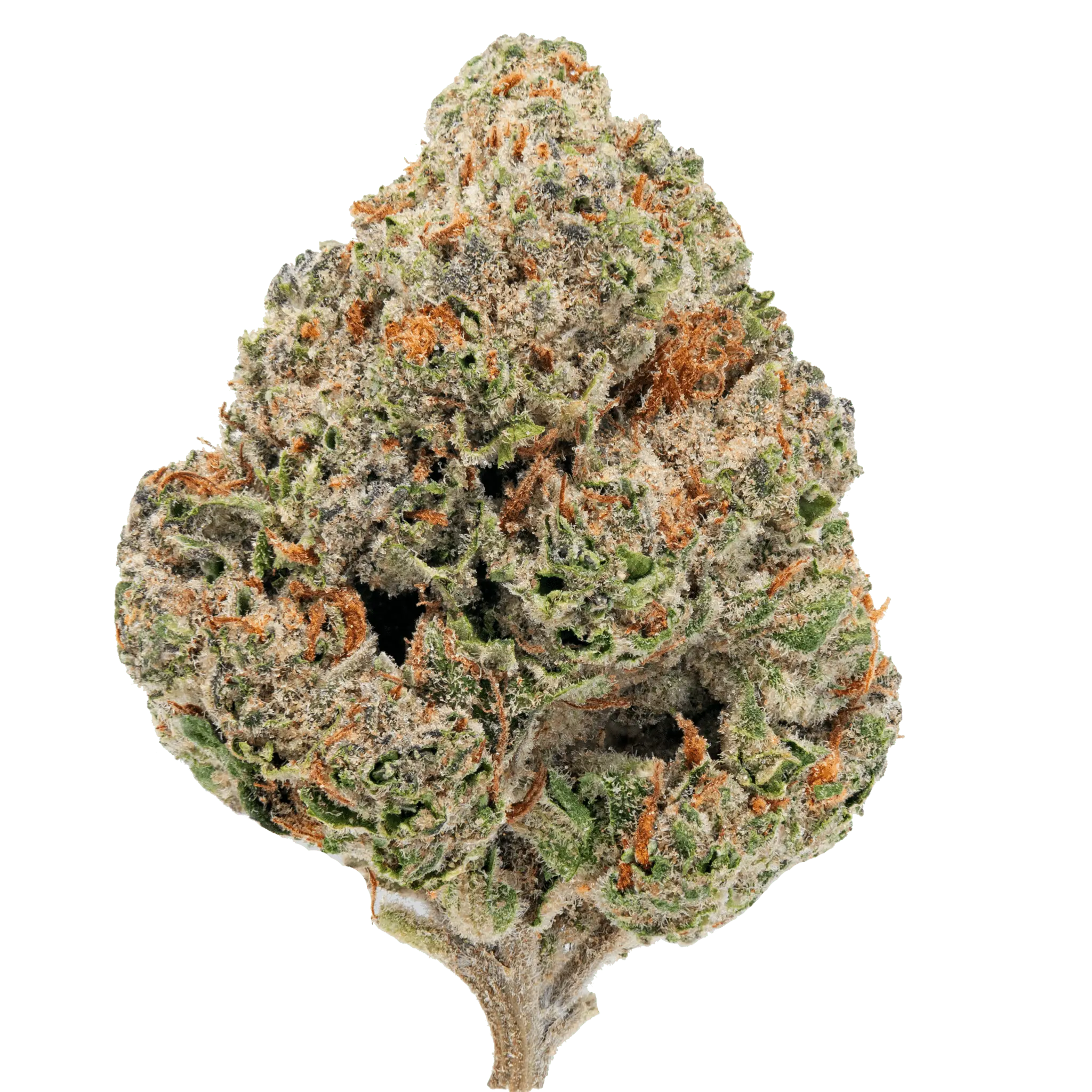 Gorilla Glue – THCa Flower - Image 15