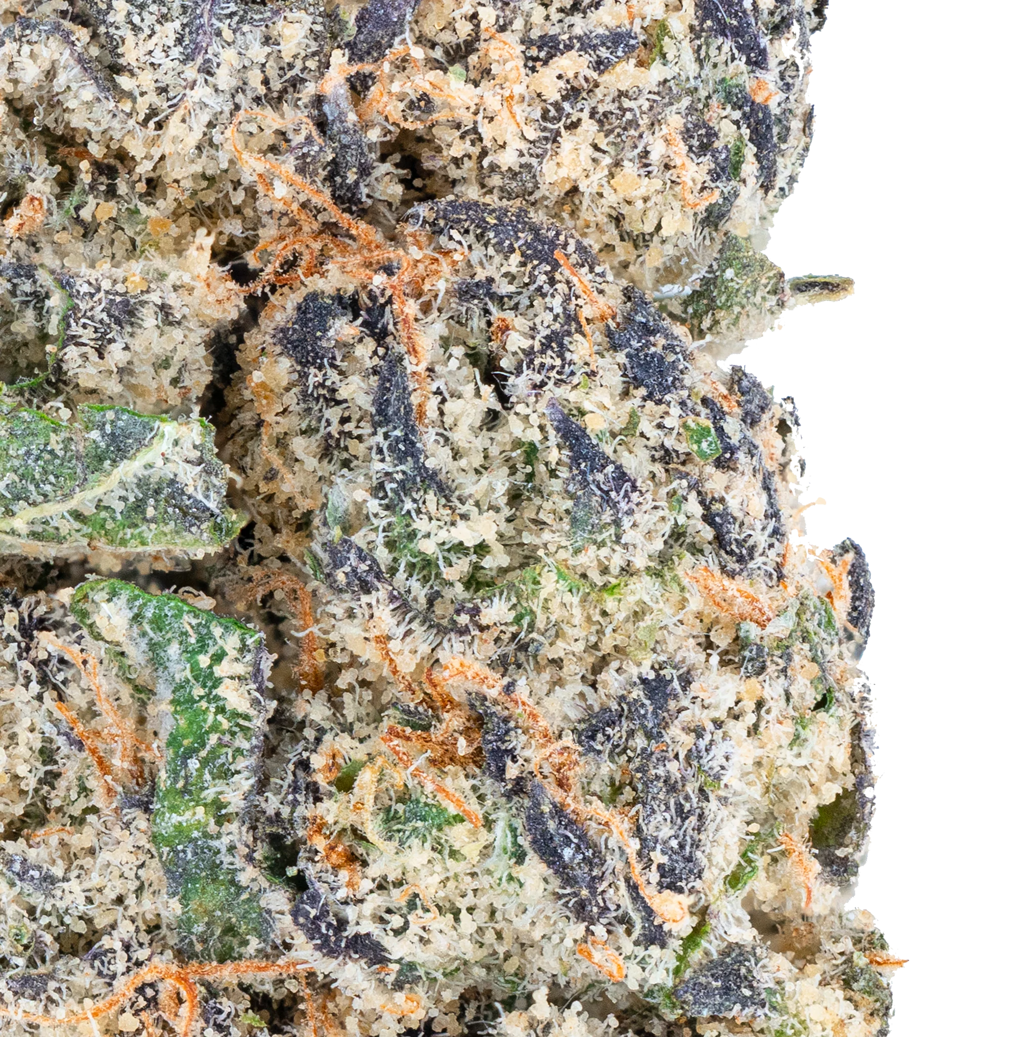 Gorilla Glue – THCa Flower - Image 8
