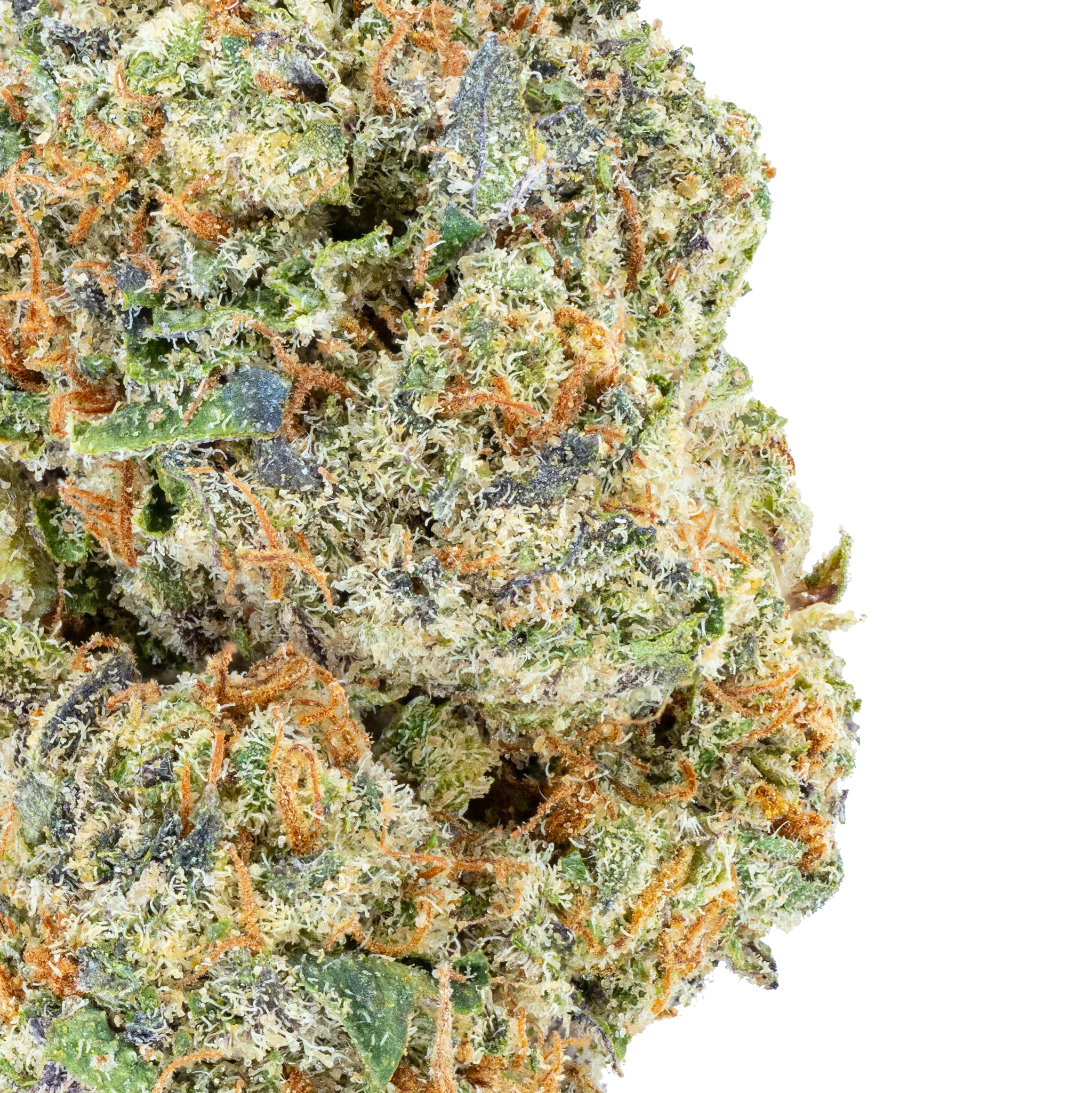 Ice Cream Cookies THCa Flower - Image 2