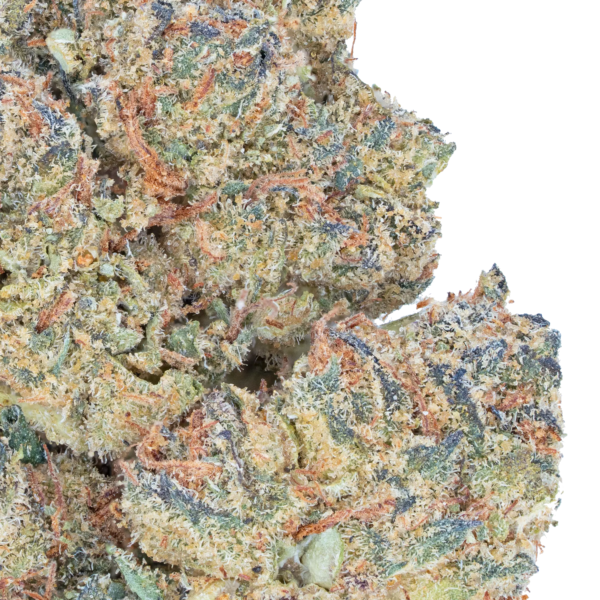 Jealousy – THCa Flower - Image 8