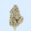 Jealousy – THCa Flower - Image 9