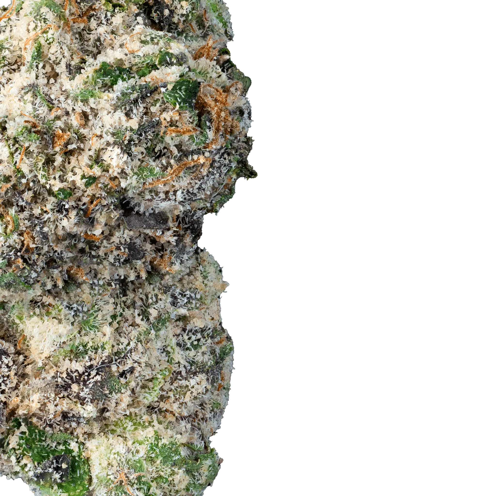 Lemon Runtz – THCa Flower - Image 2