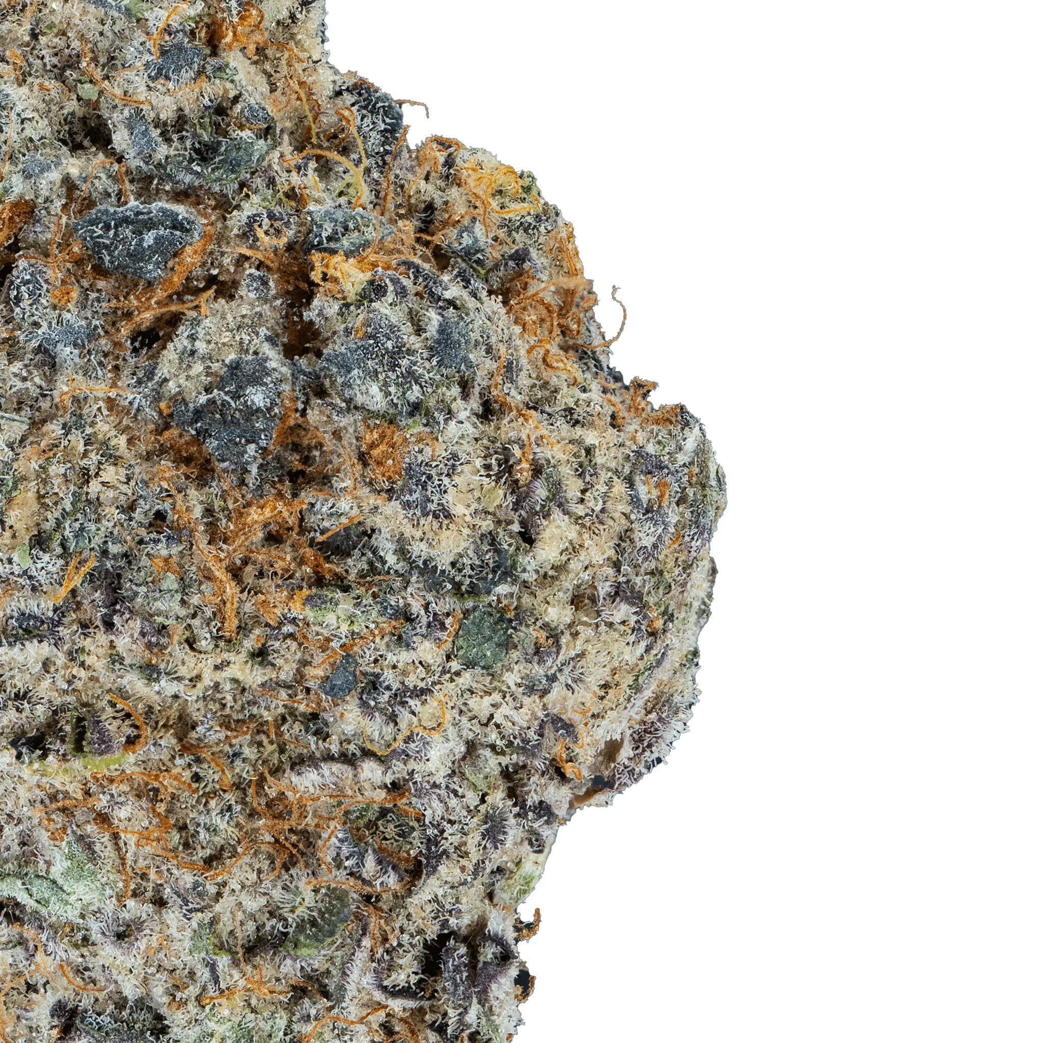 London Pound Cake THCa Flower - Image 2