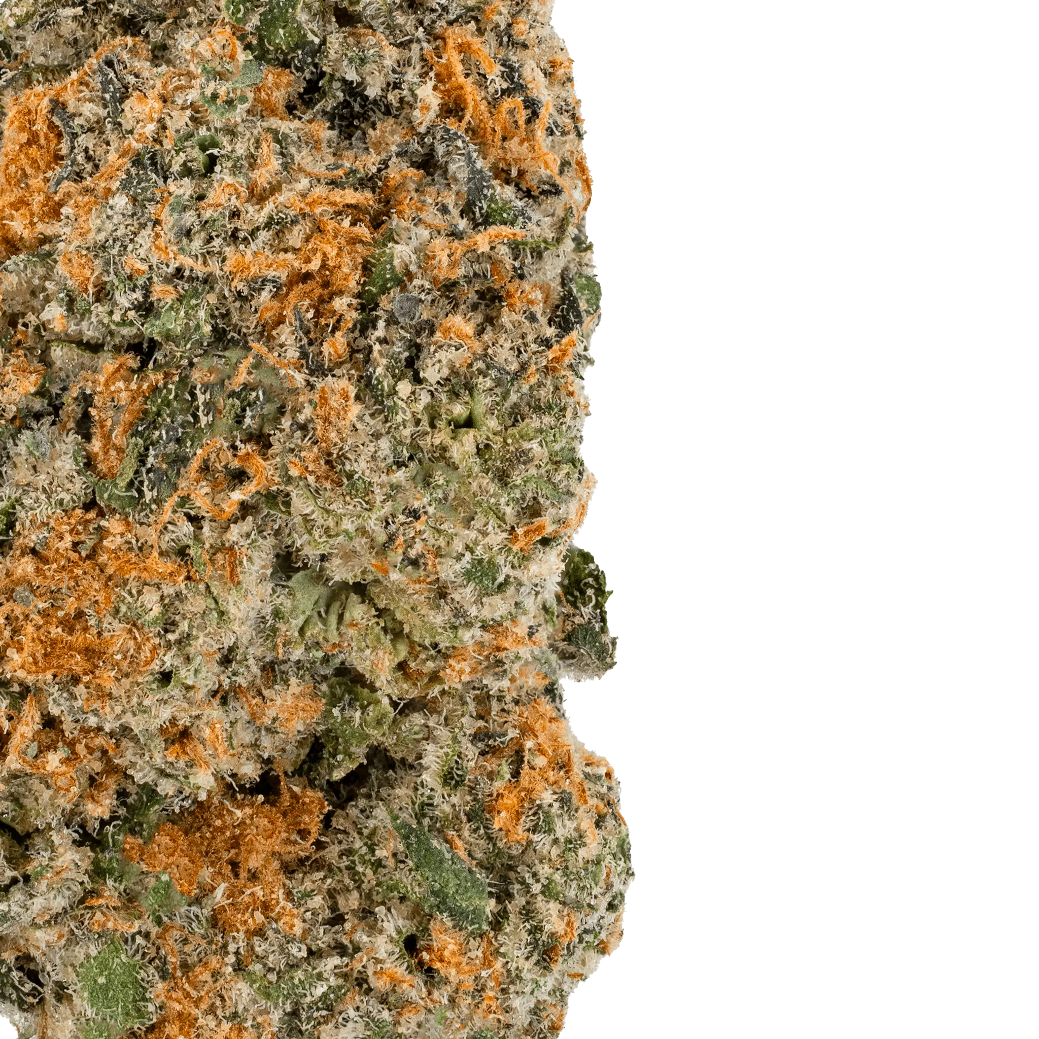 MAC â THCa Flower - Image 2