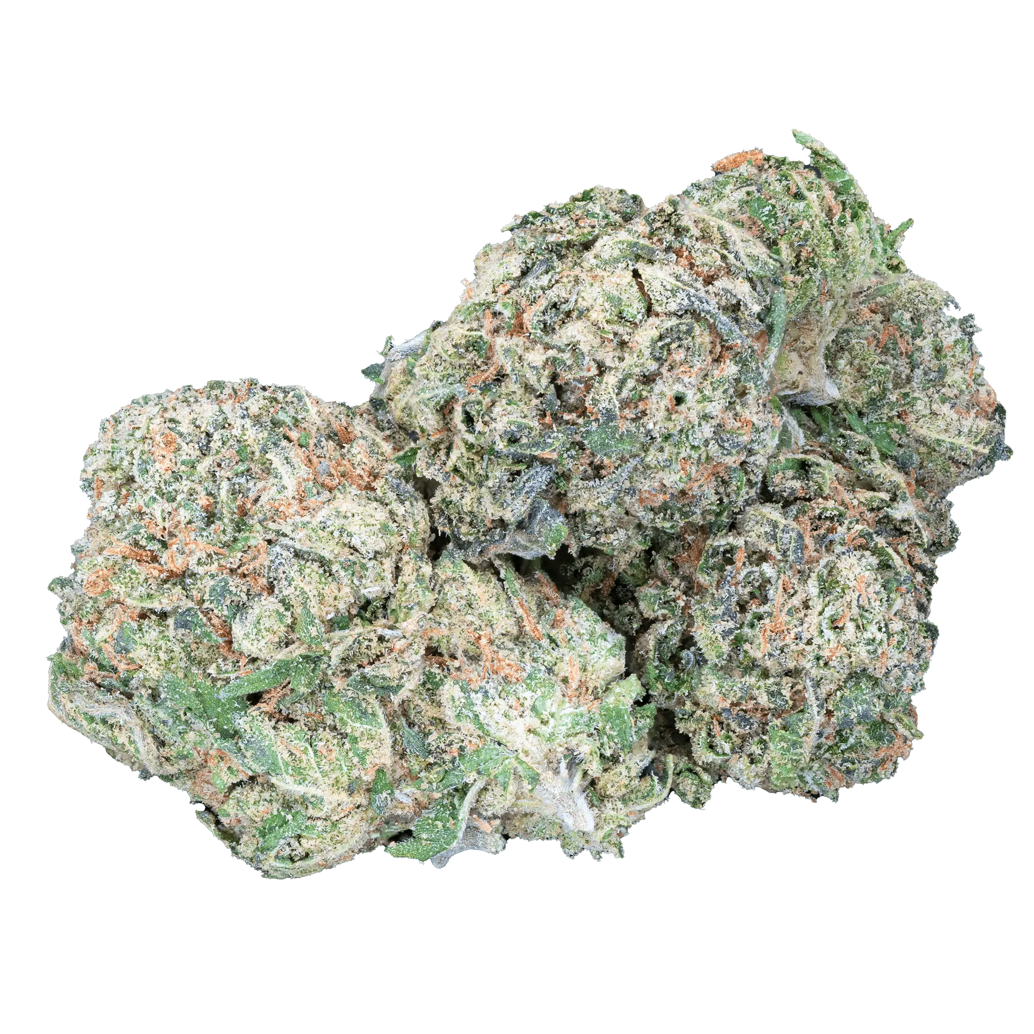 Mango Dream THCa Flower - Image 17