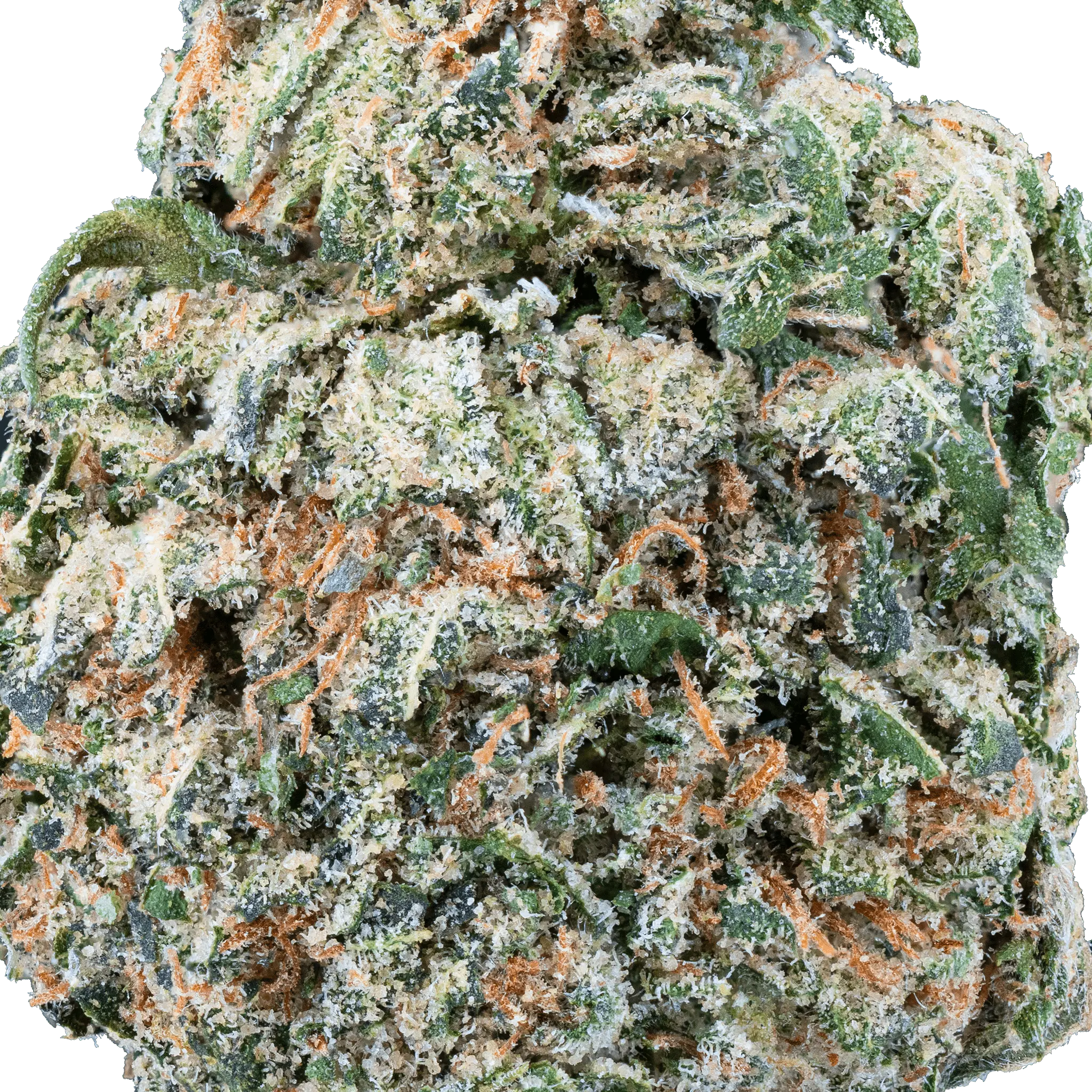 Mango Dream THCa Flower - Image 2
