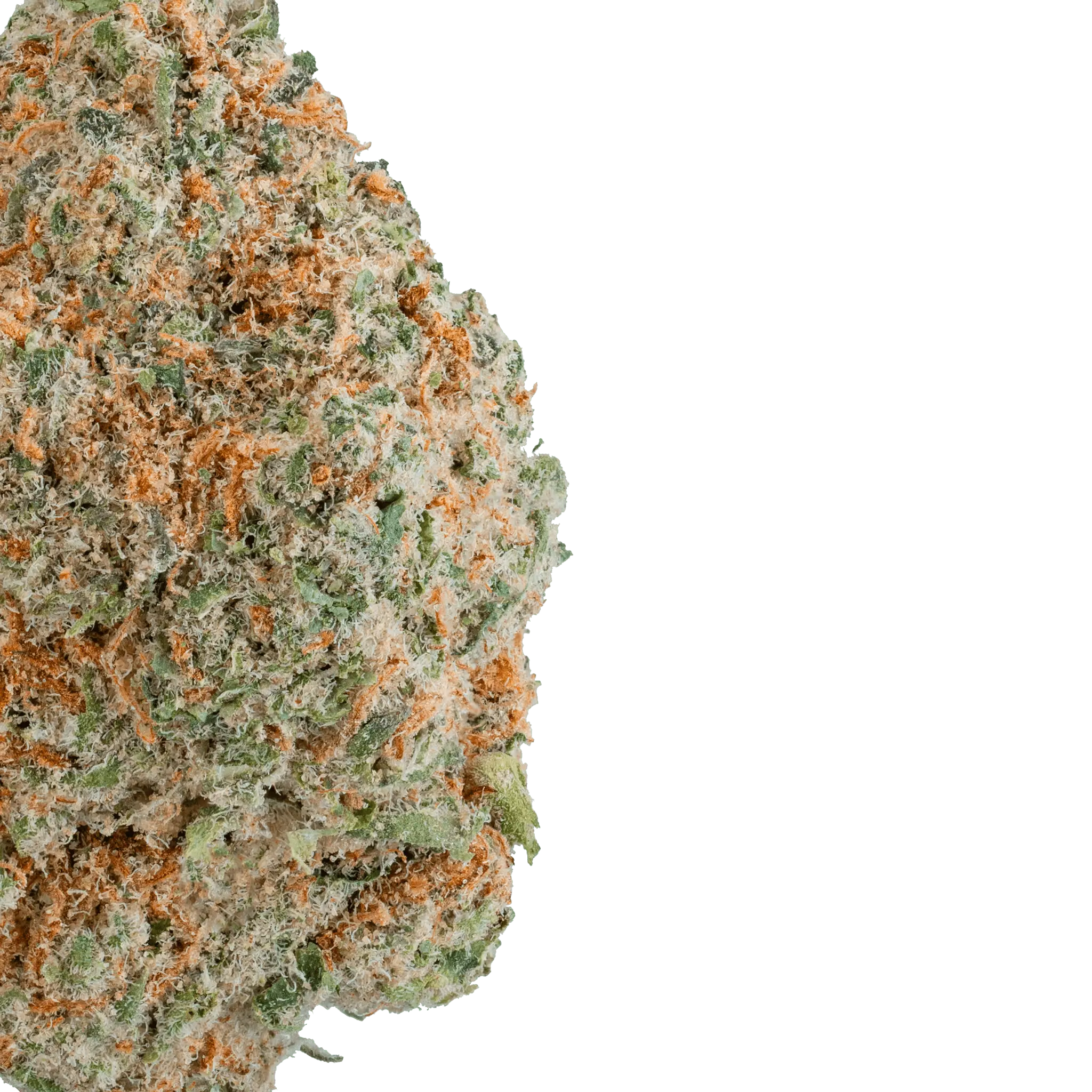 Mochi – THCa Flower - Image 2