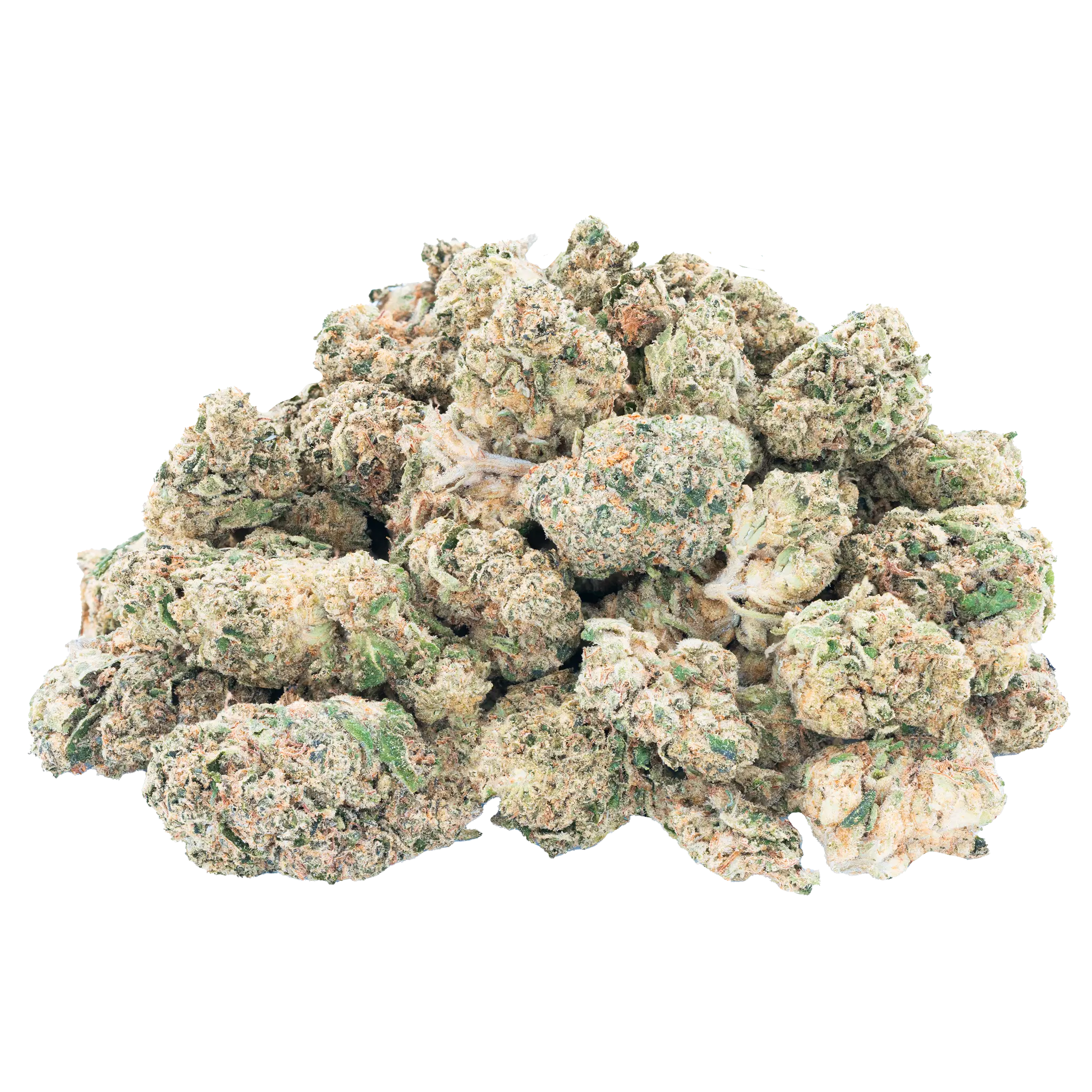 Mr. Nasty - THCa Flower - Image 15