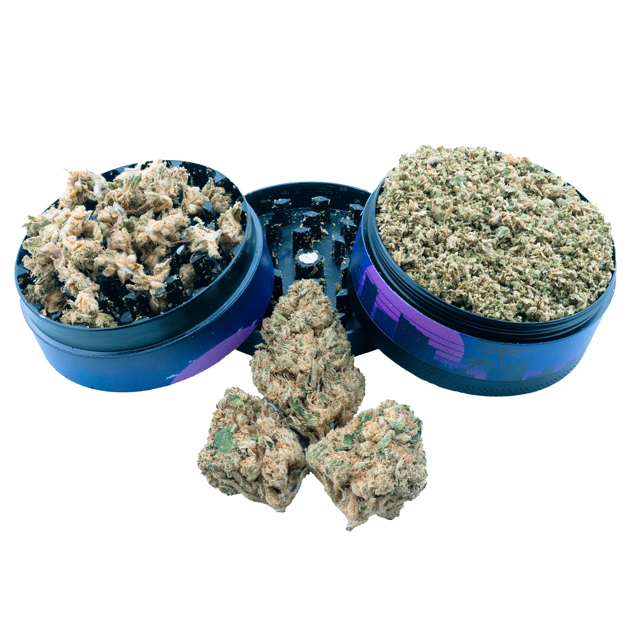Mr. Nasty - THCa Flower - Image 16