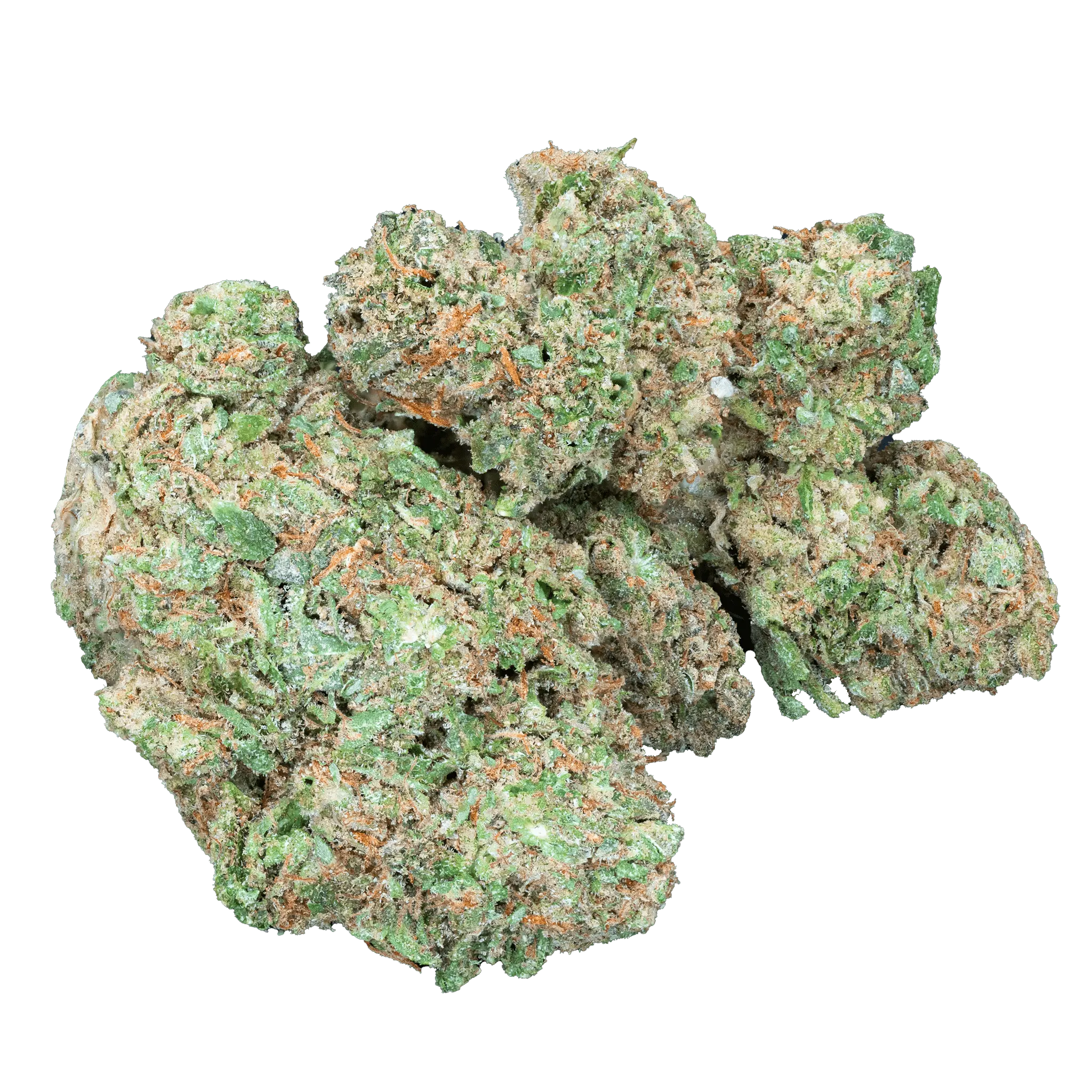 Mr. Nasty - THCa Flower - Image 19