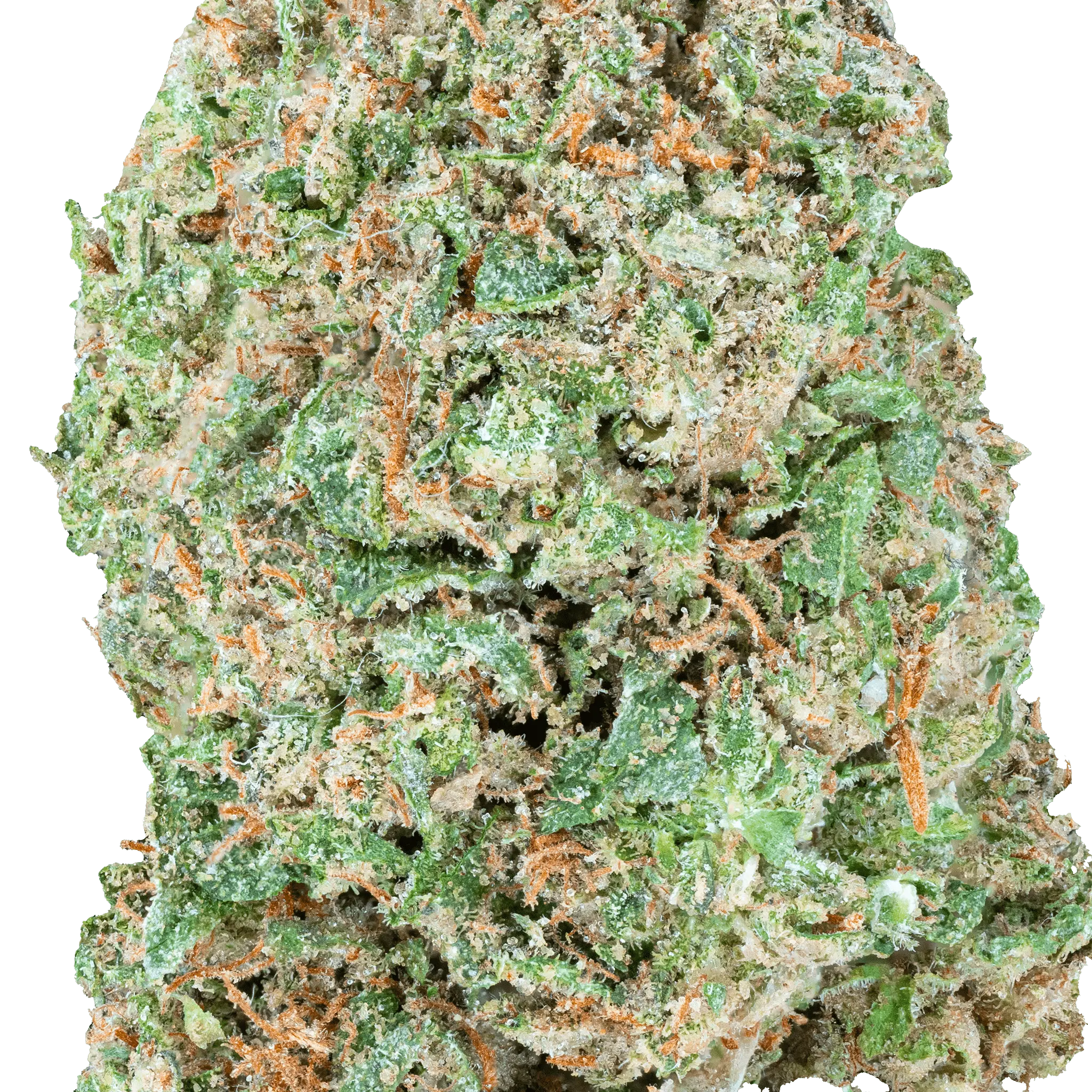 Mr. Nasty - THCa Flower - Image 8