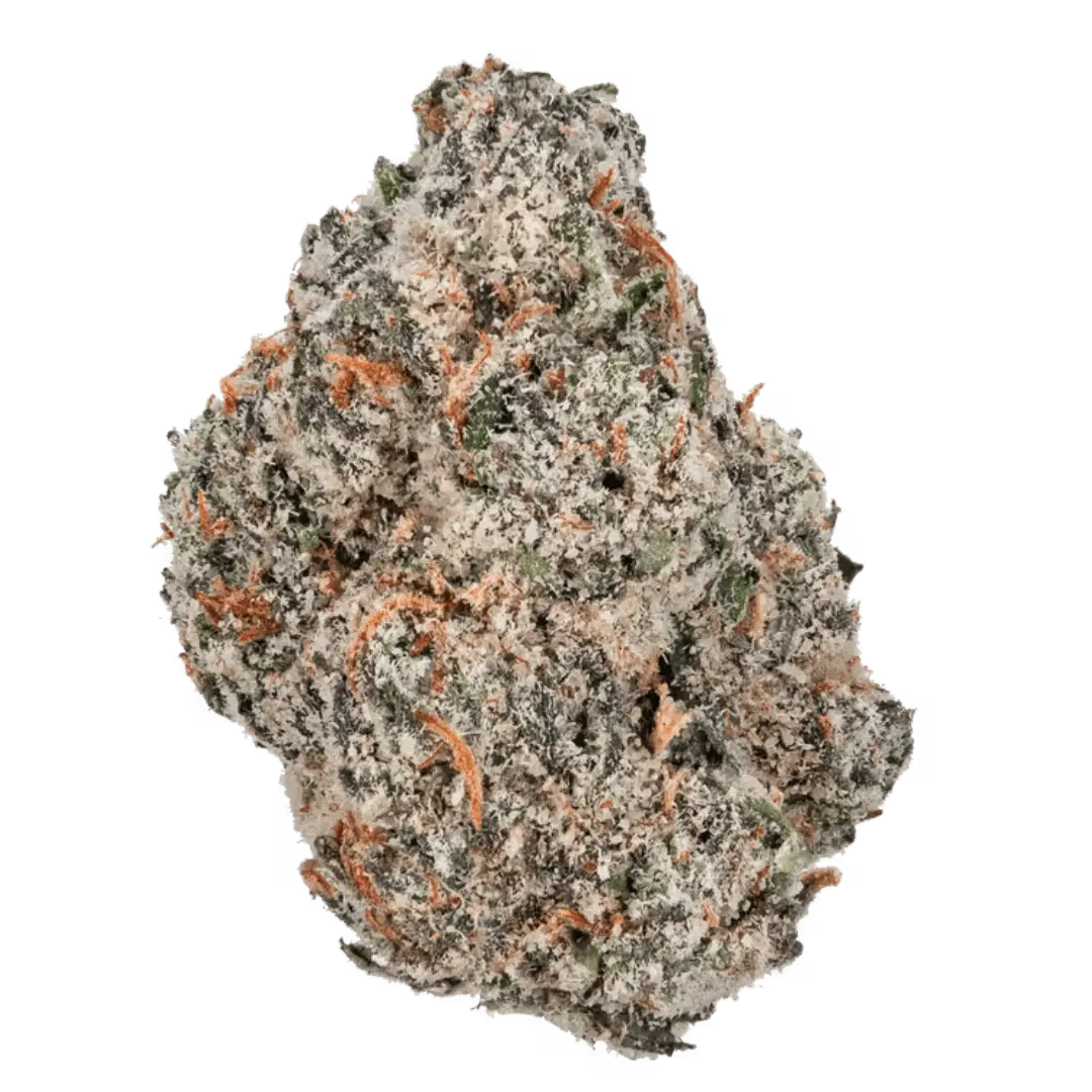 Only Gas - THCa Flower - Image 12