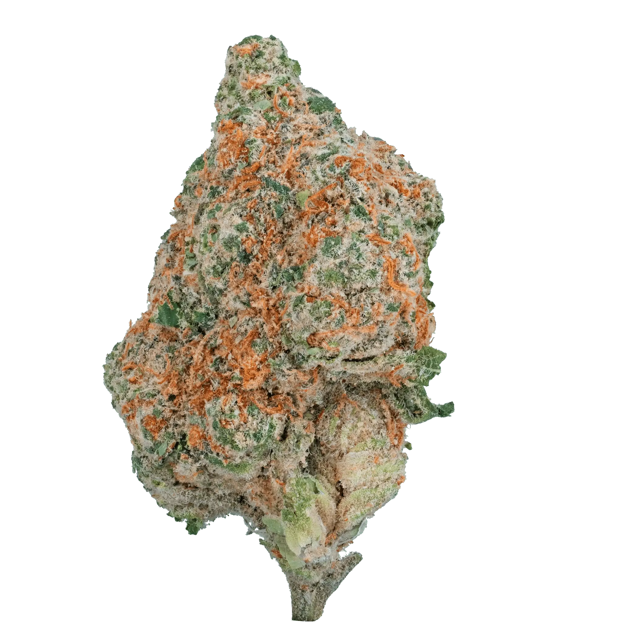 Only Gas - THCa Flower - Image 14