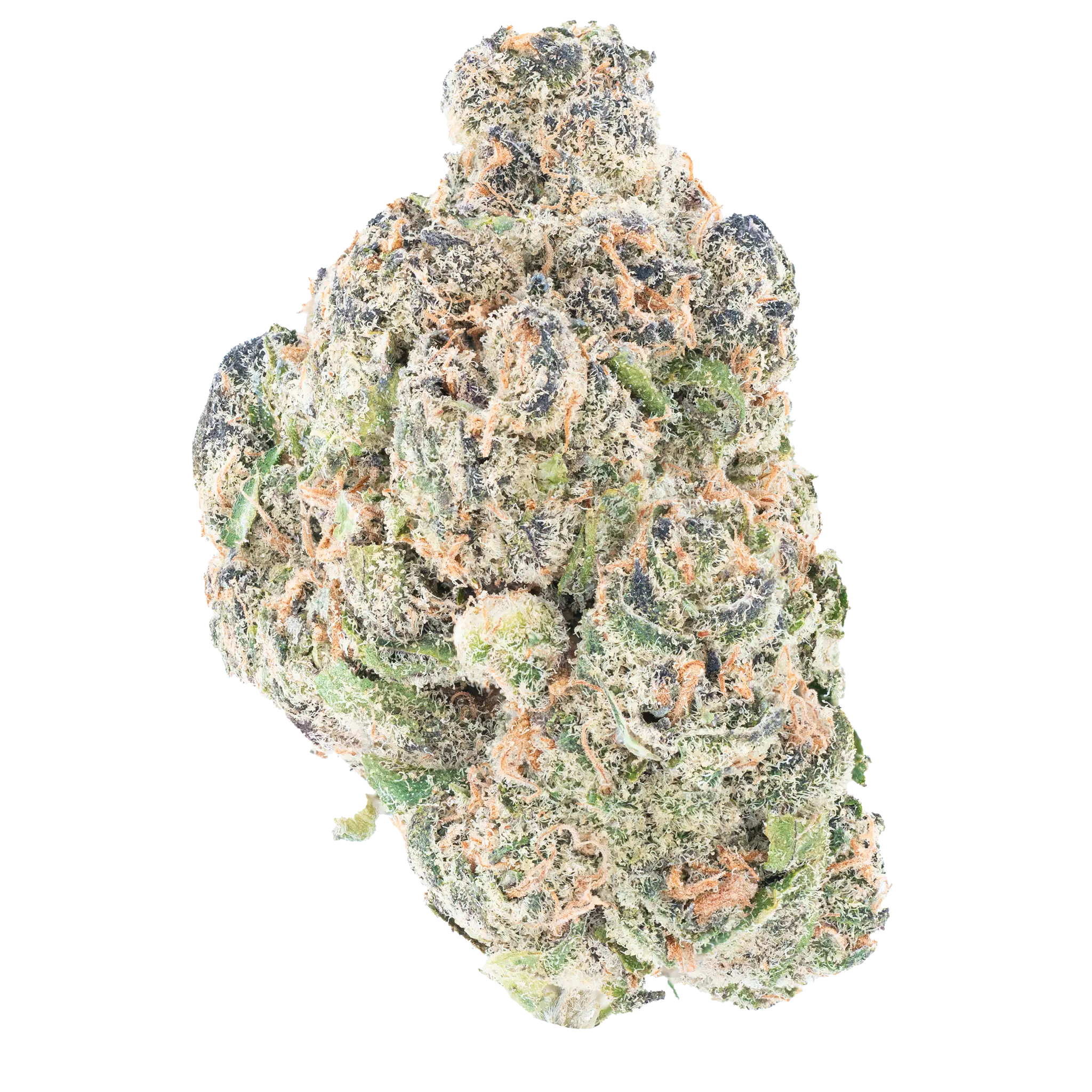 Orange Push Pop- THCa Flower