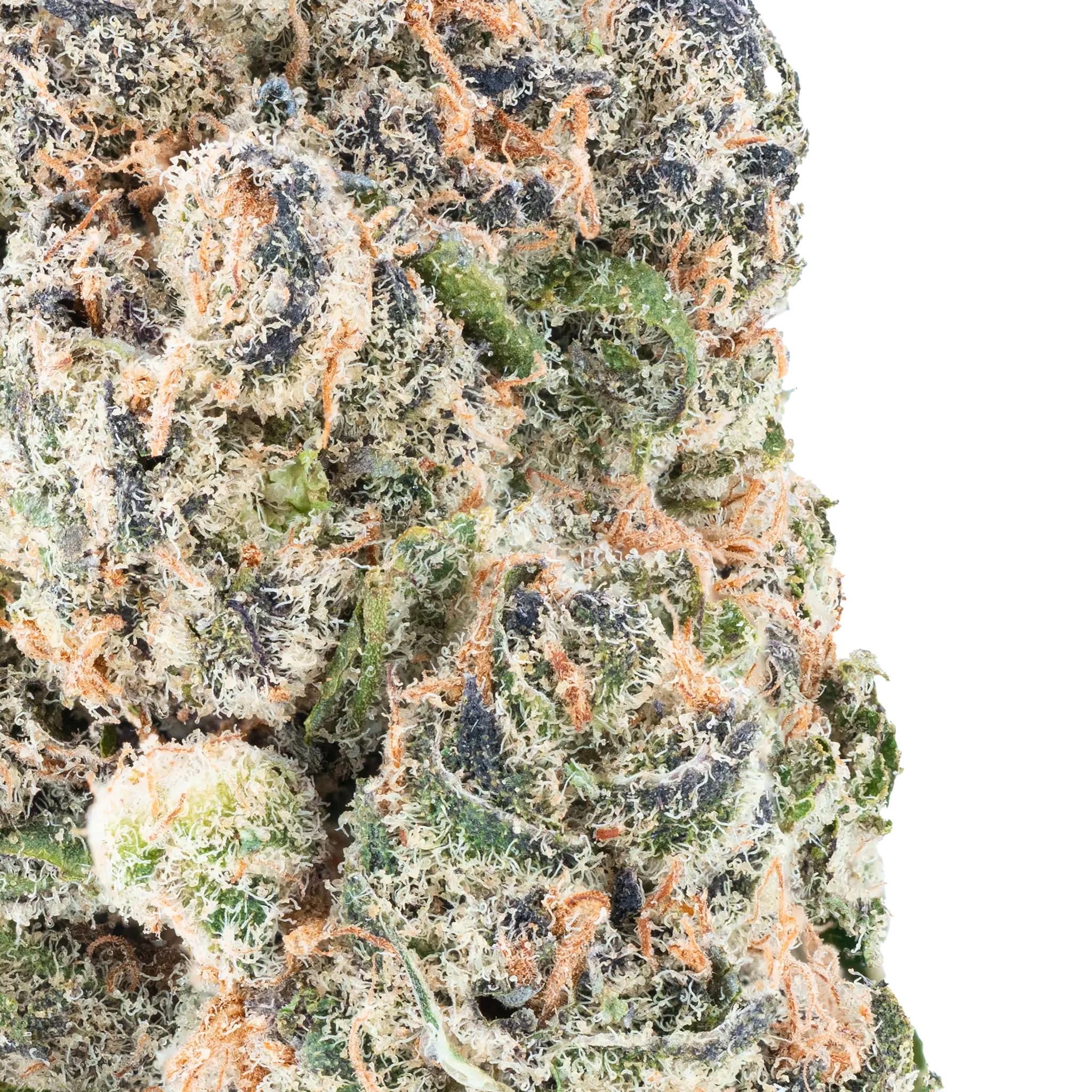 Orange Push Pop- THCa Flower - Image 8