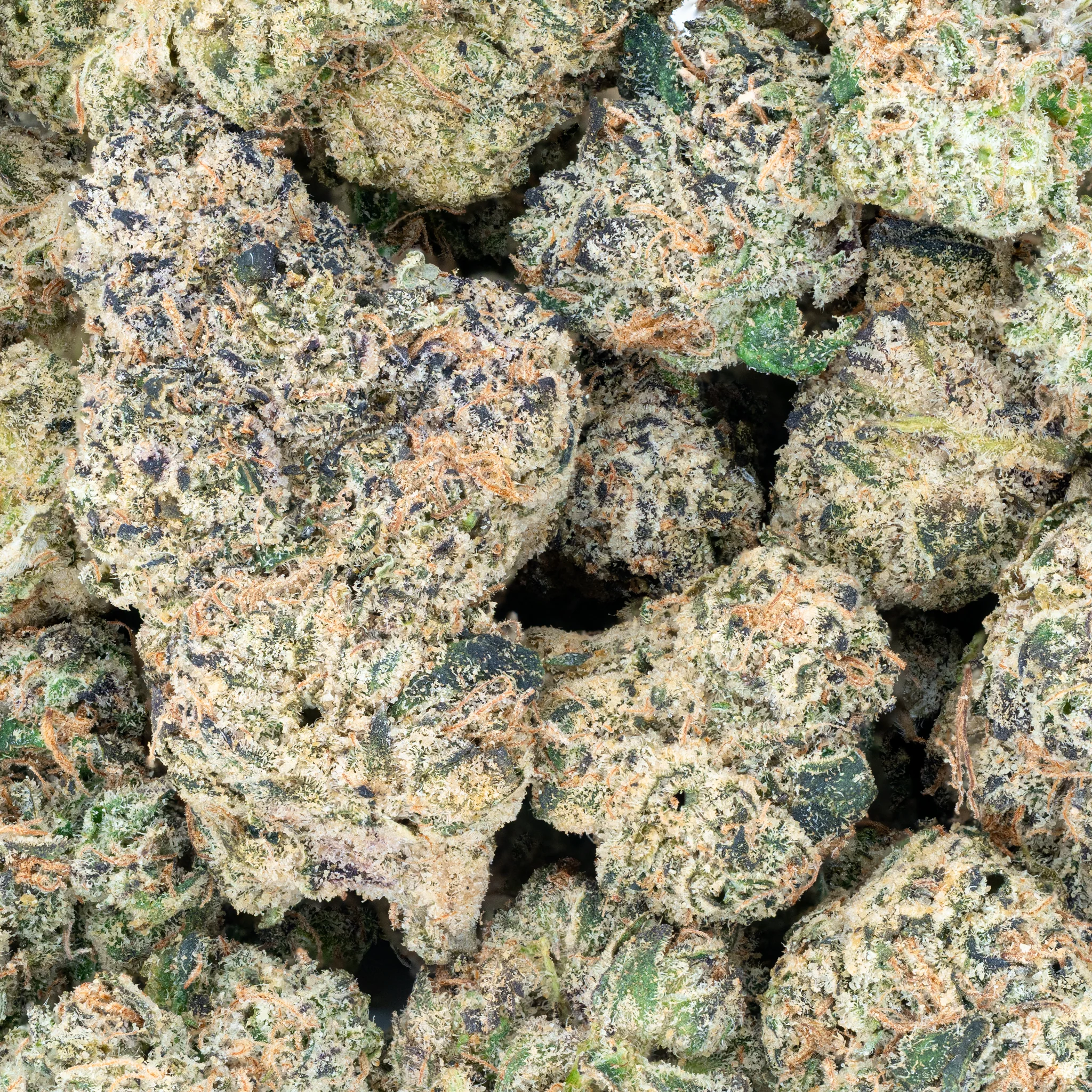 Permanent Marker - THCa Flower - Image 14