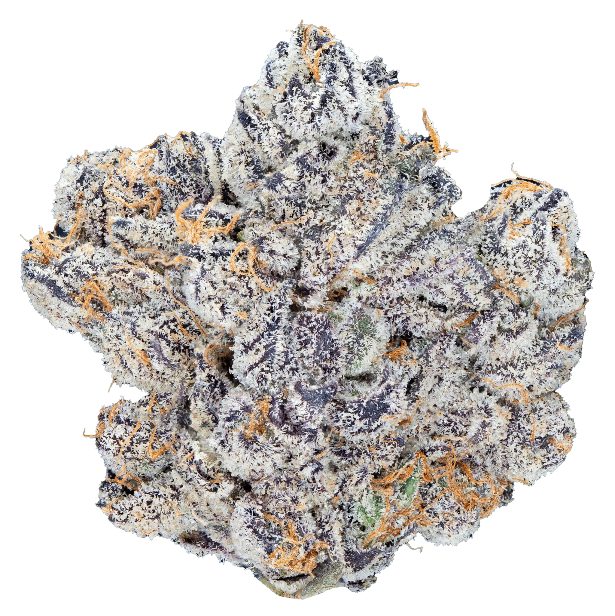 Permanent Marker - THCa Flower - Image 15