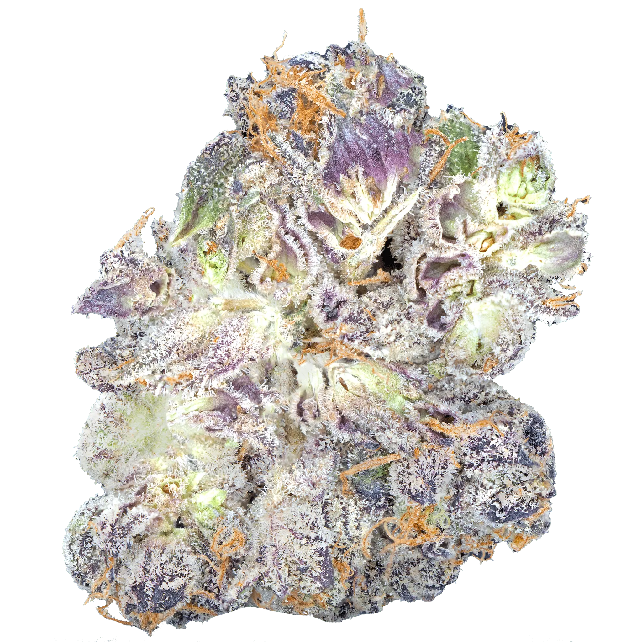 Permanent Marker - THCa Flower - Image 16