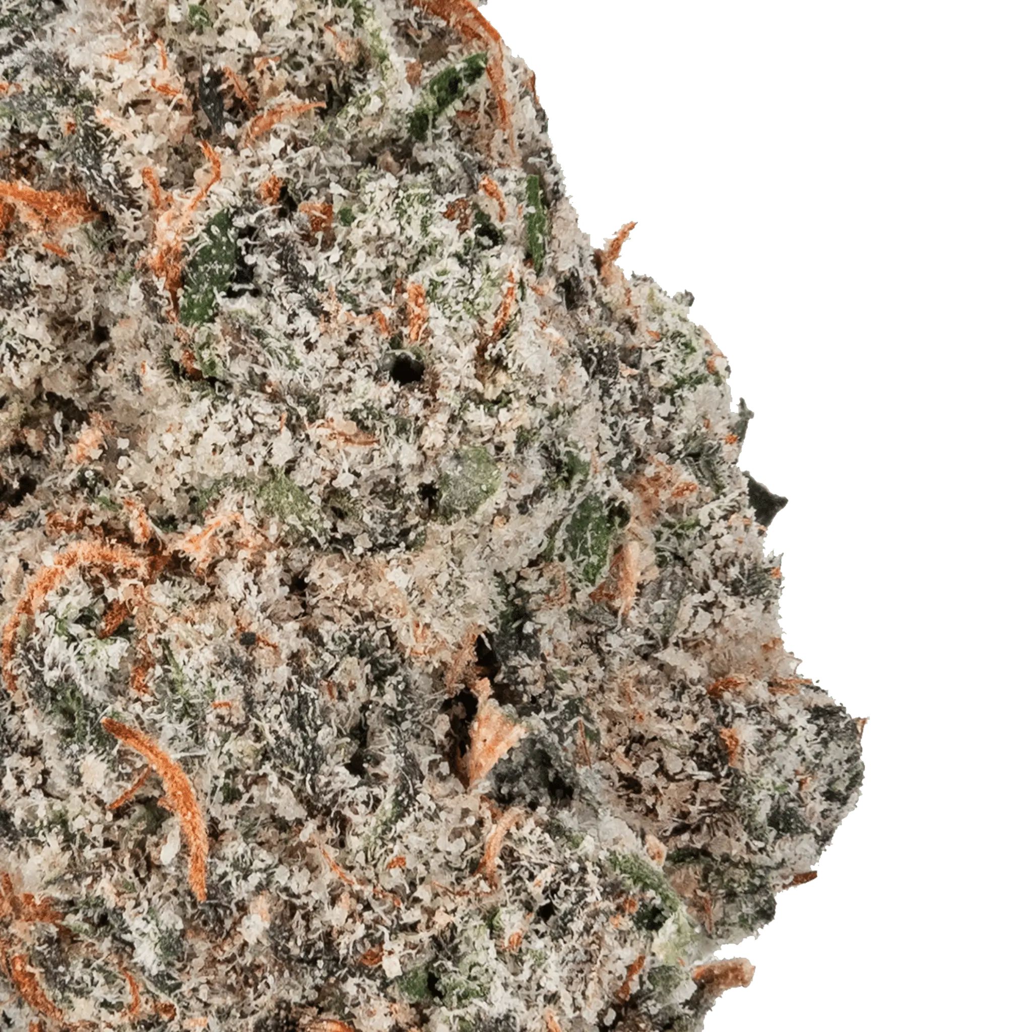 Permanent Marker - THCa Flower - Image 19