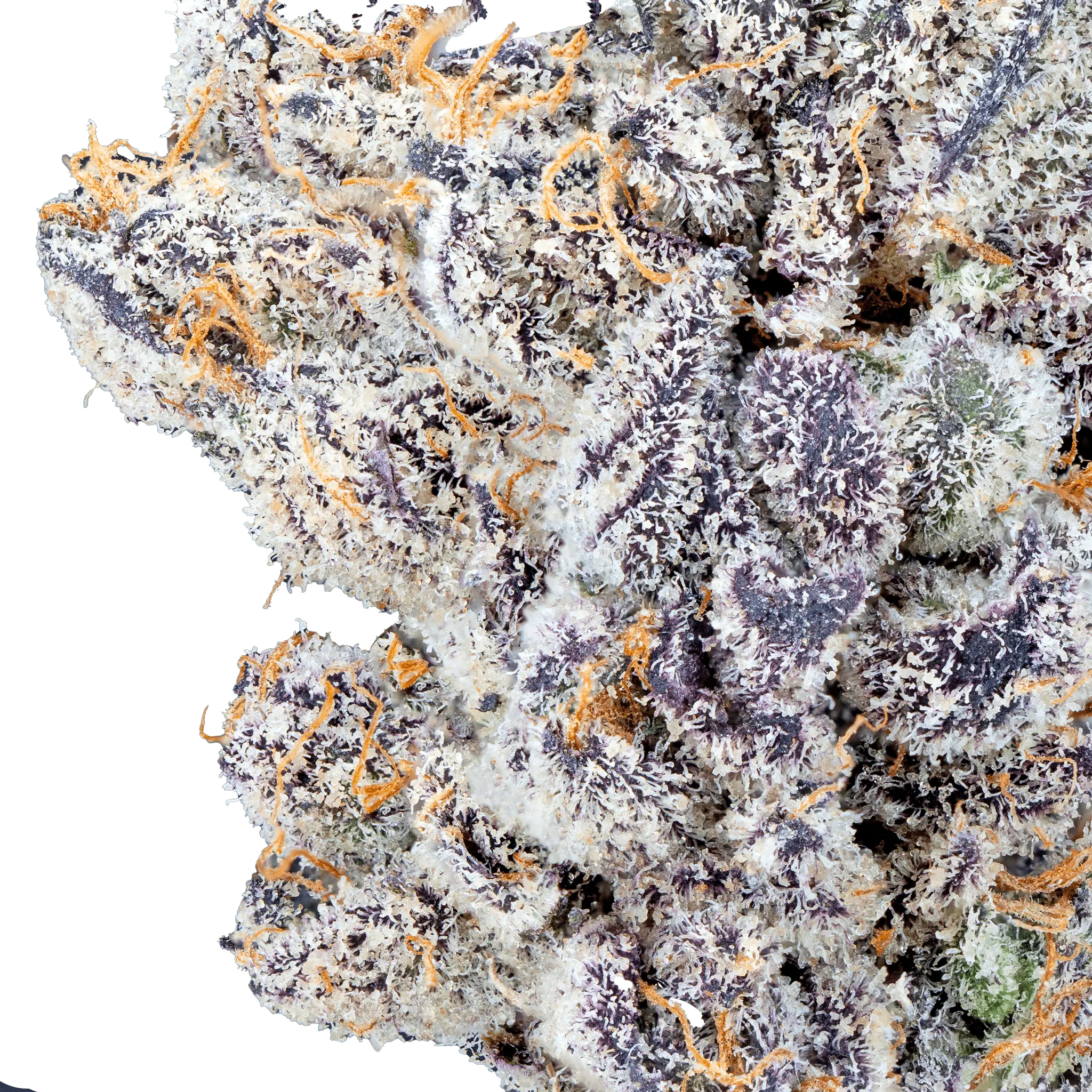 Permanent Marker - THCa Flower - Image 21