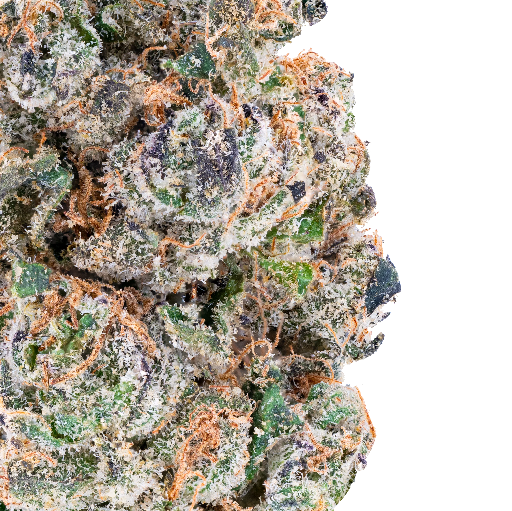 Permanent Marker - THCa Flower - Image 8