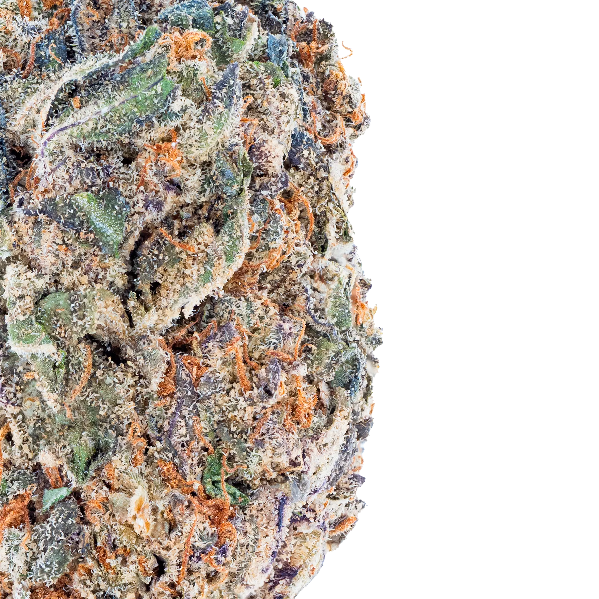 Purple Push Pop- THCa Flower - Image 8