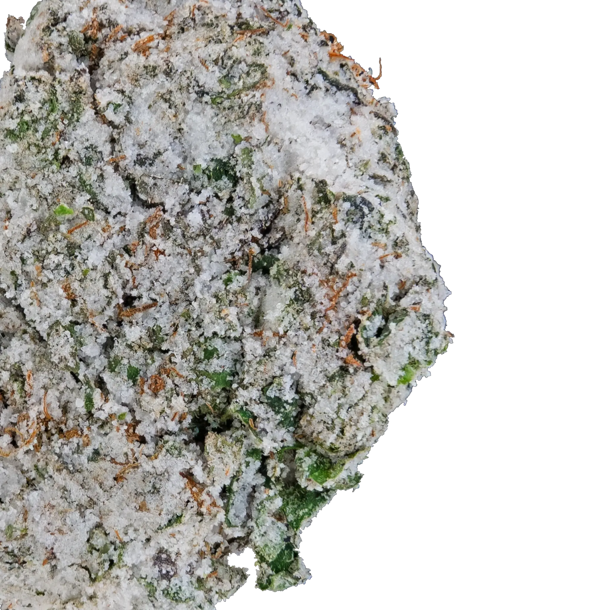 Sticky Glue Snow Balls THCa Flower - Image 15
