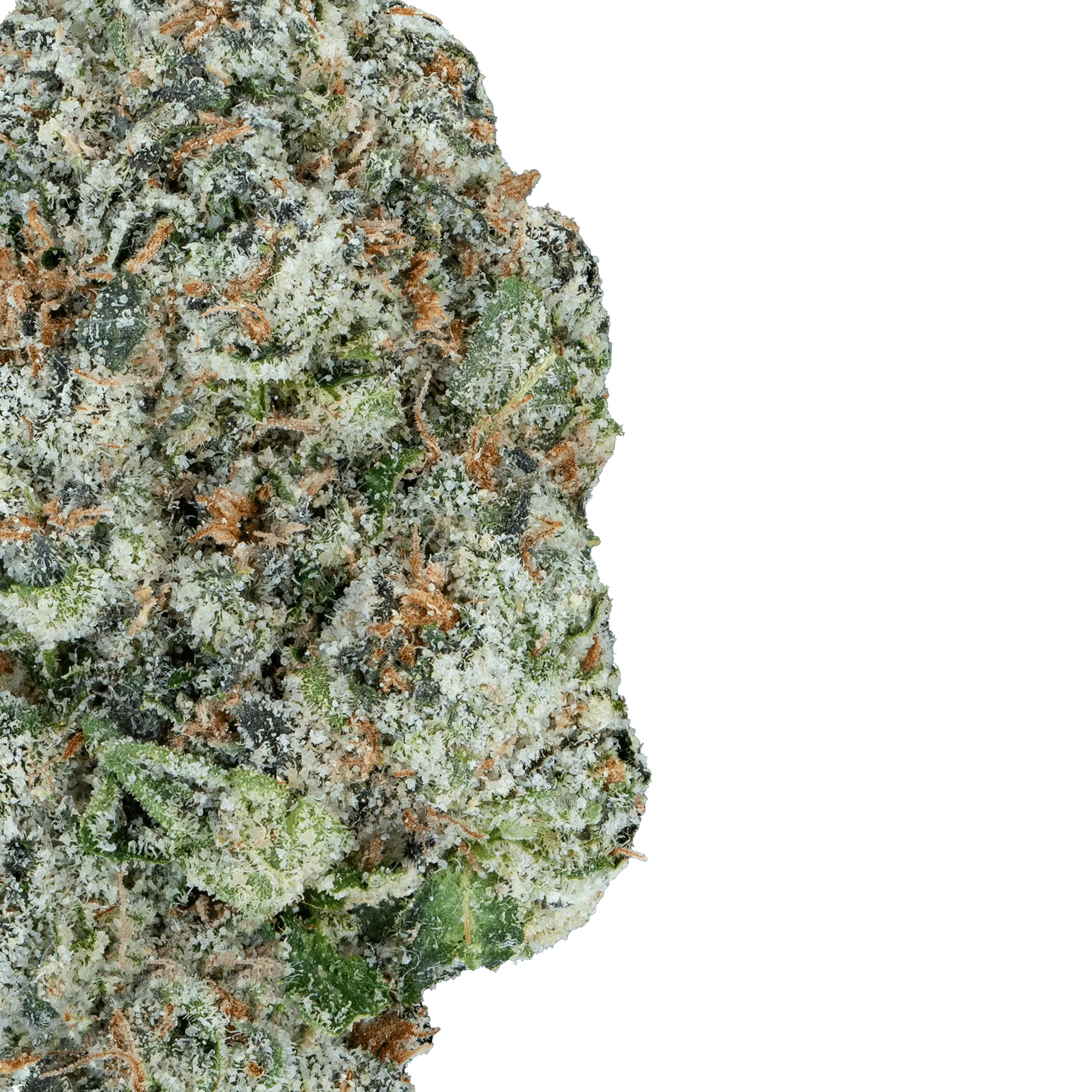 Super Zoldier Serum THCa Flower - Image 2