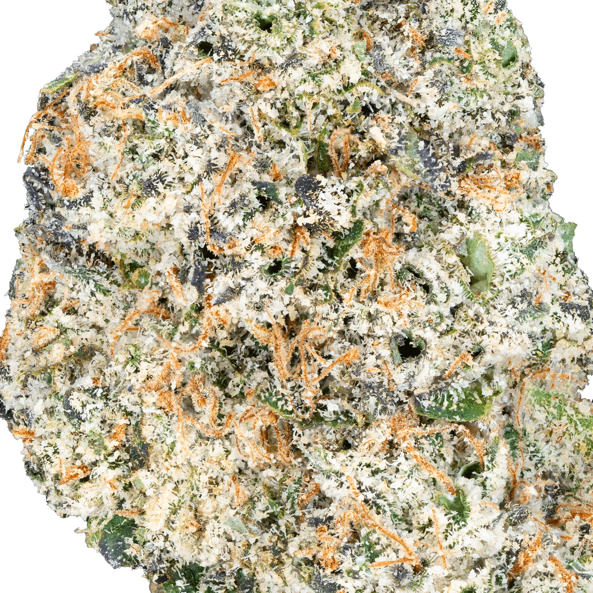 Thai Iced Tea- THCa Flower - Image 16