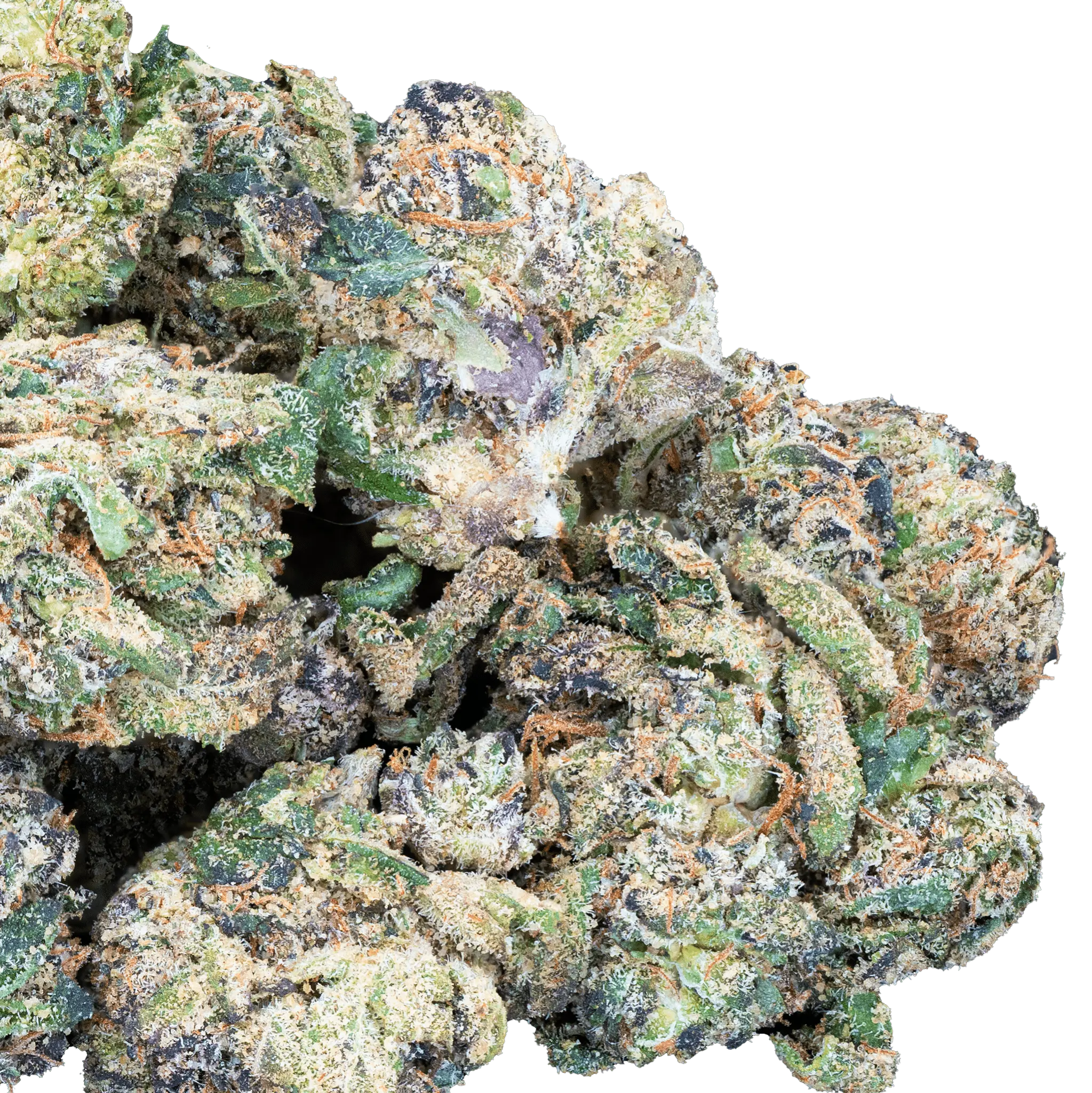 Only Gas - THCa Exotic Mediums & Smalls - Image 10