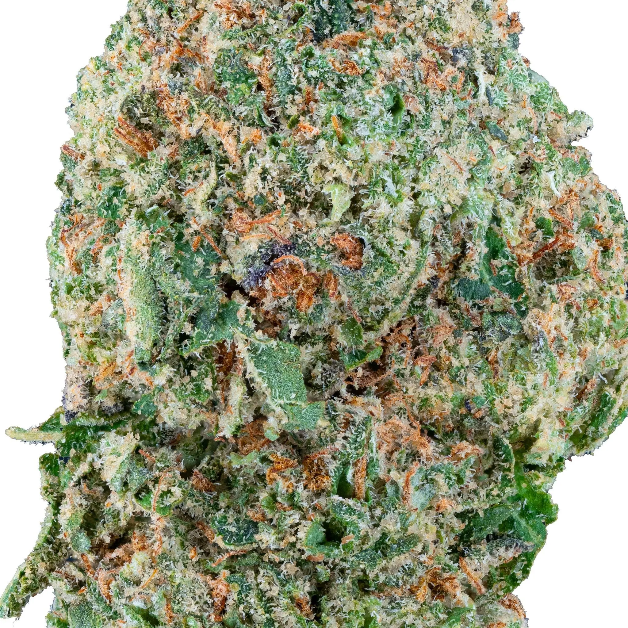 Gelato – THCa Flower - Image 16