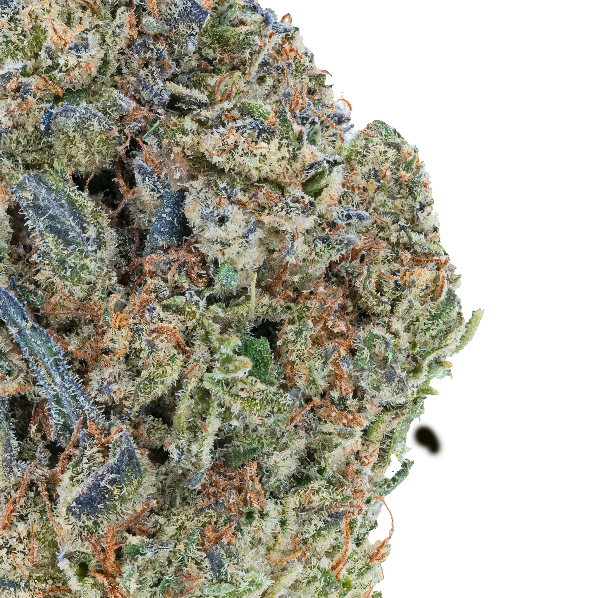 Vorpal Cherry Aurora THCa Flower - Image 10