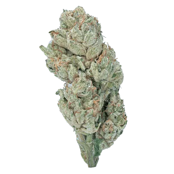 Wedding Crasher THCa Flower