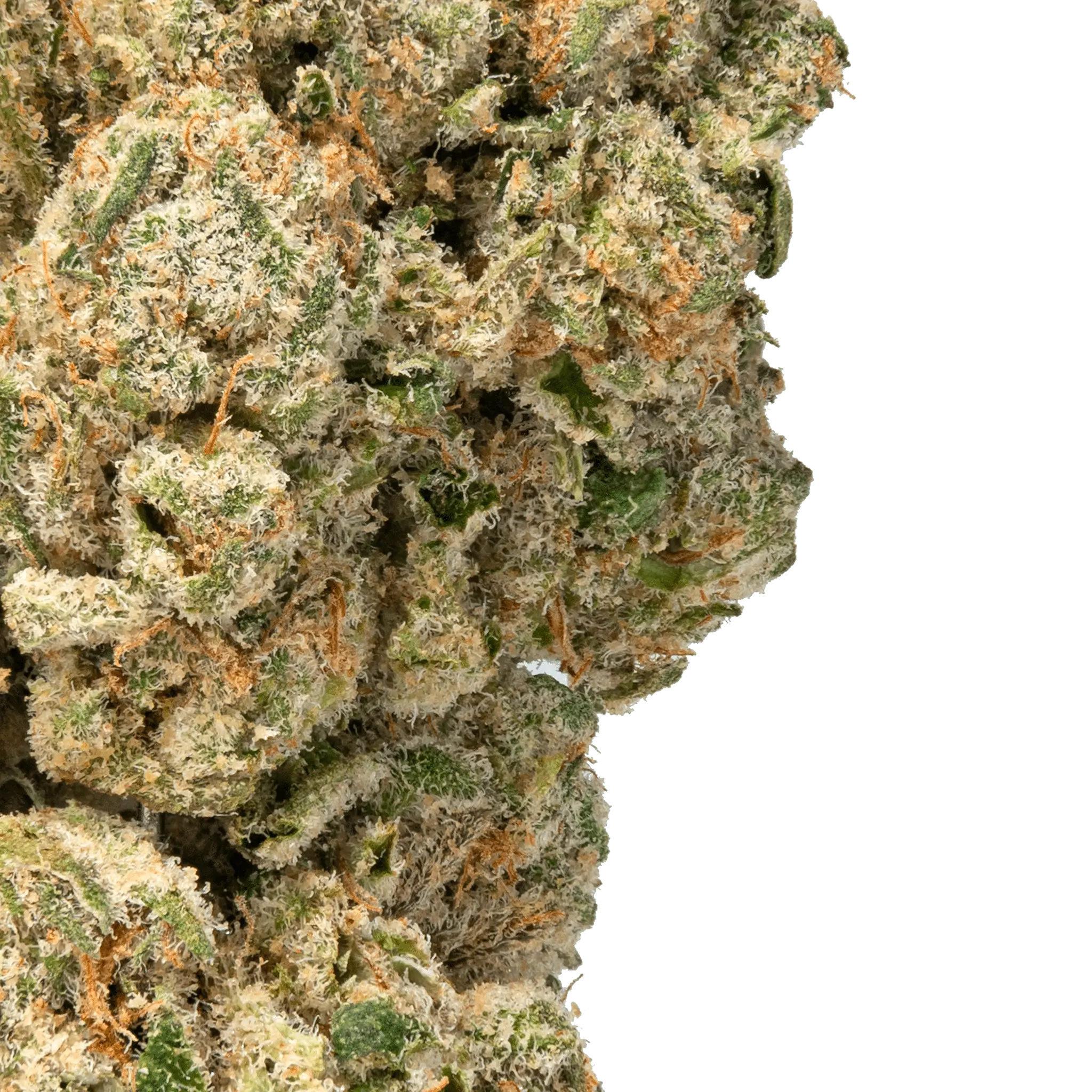 White Cherry Gelato THCa Strain - Image 2